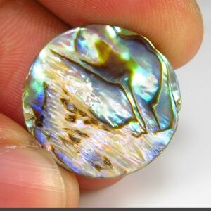 7.23 Ct Natural Multi color Shining Abalone Shell Round Cab